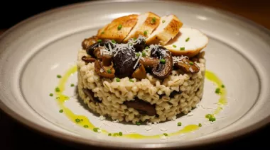 plating-instructions-image